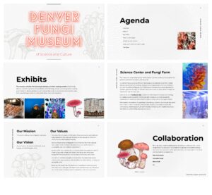 Mushroom-Museum-2022